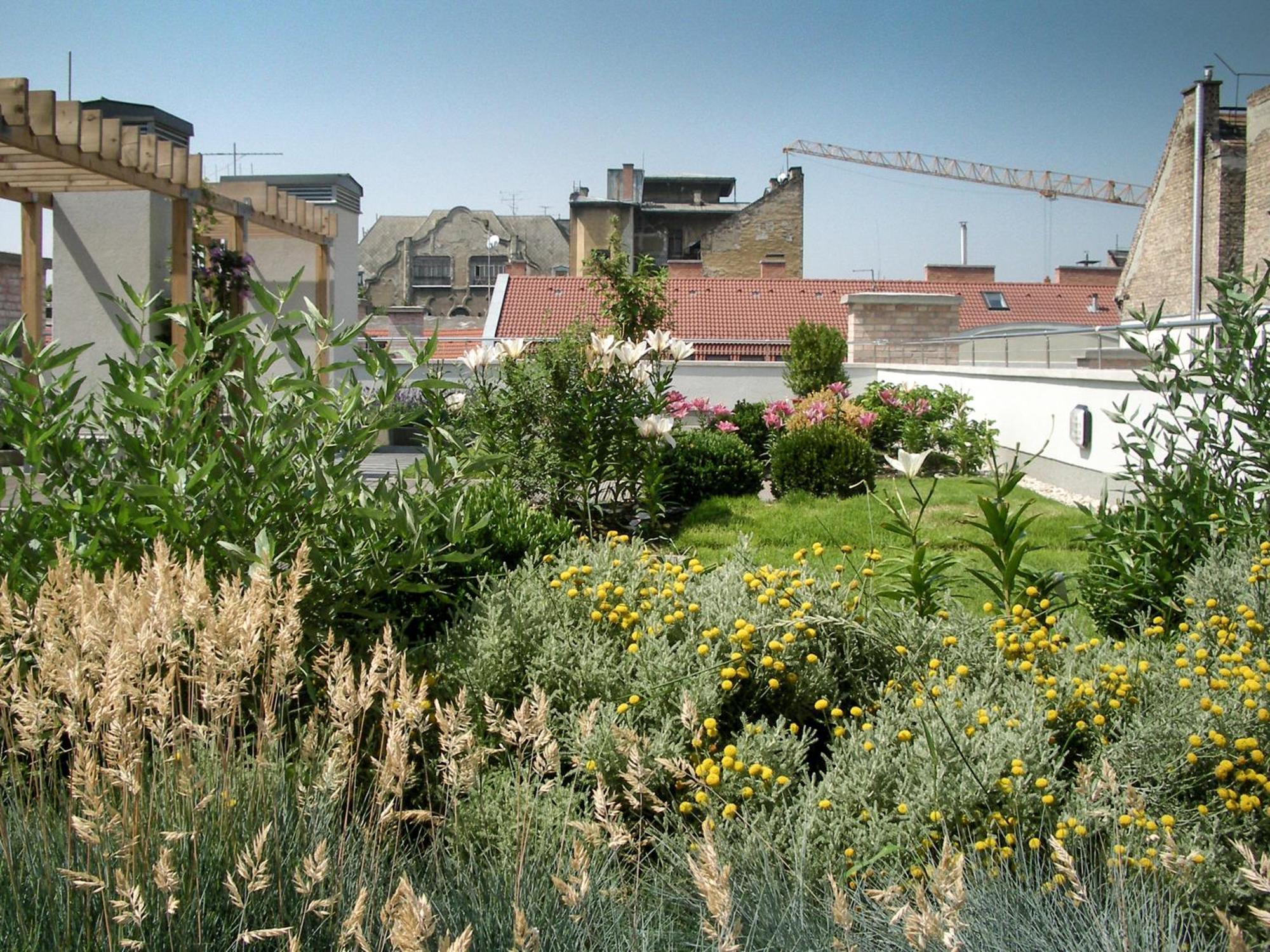 Paulay65 - With 24h Reception Appartement *